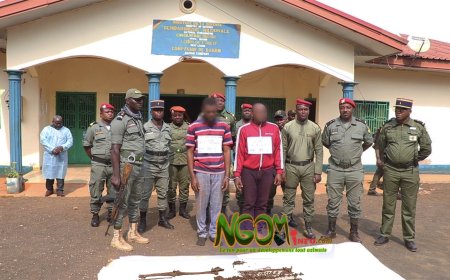 Baham:  Fin de parcours pour des trafiquants d'ossements humains.