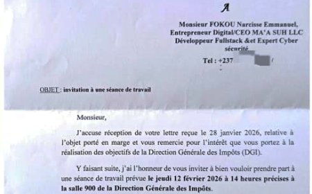 De la taxe sur les créateurs au vrai danger de l'Affaire CAMCIS: Paroles d expert