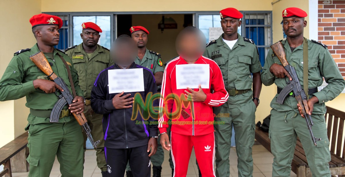 Braquage avorté à Douala : le cerveau du gang face à la justice