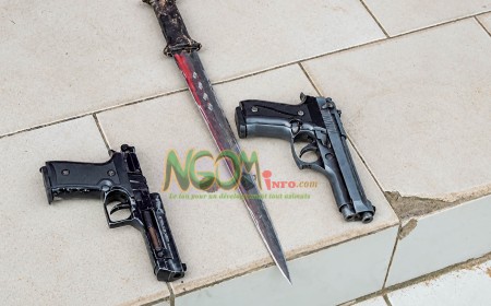Braquage avorté à Douala : le cerveau du gang face à la justice